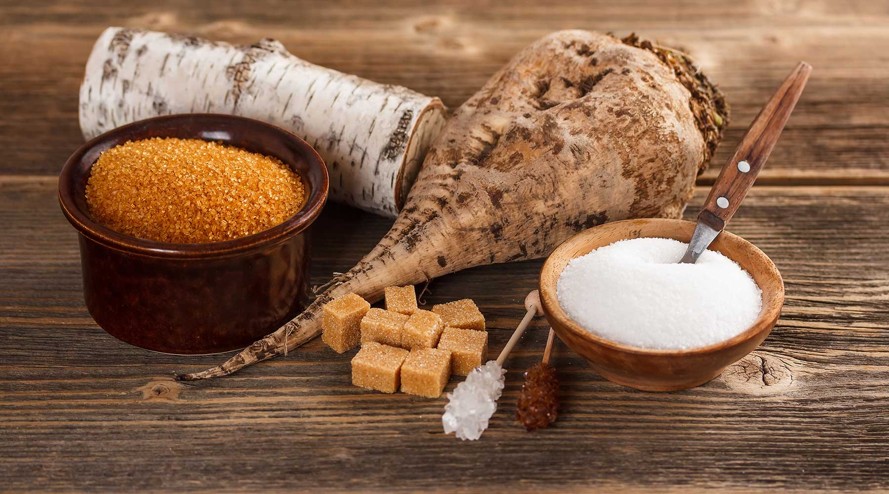 Adaptógenos vs. Nootrópicos: la guía definitiva para elegir - Sensus.Life