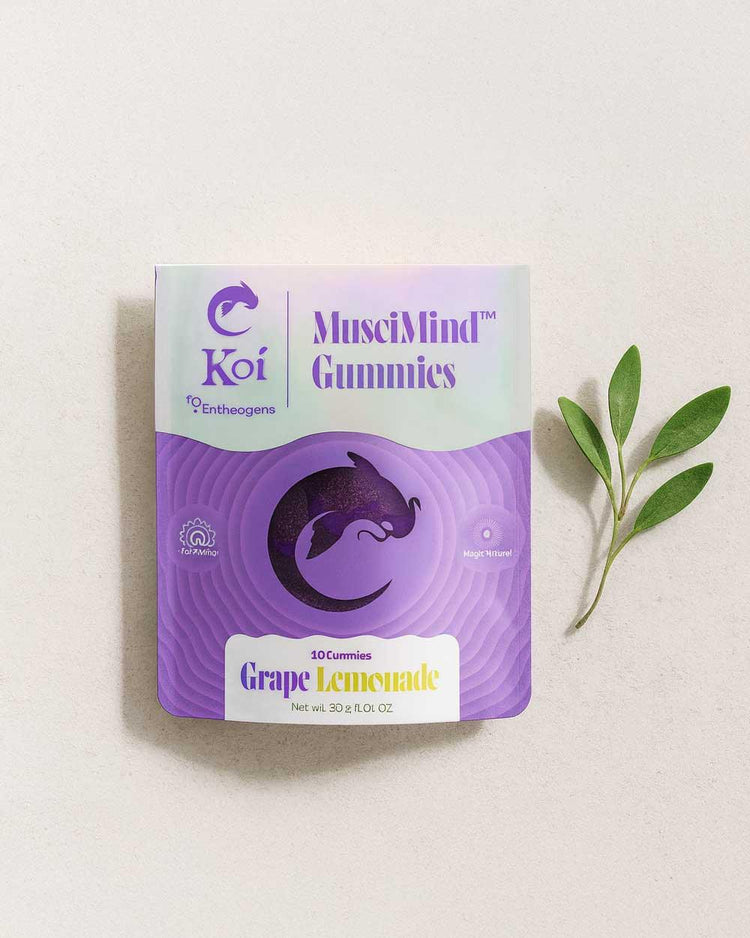 Bienestar Sensorial Inteligente