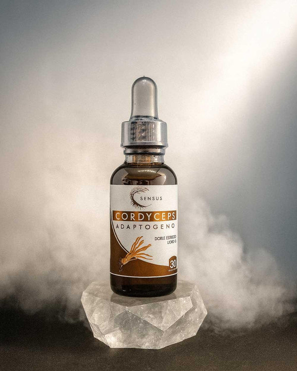 Frasco de Sensus Cordyceps adaptógeno, gotero, sobre cristal, fondo con vapor.