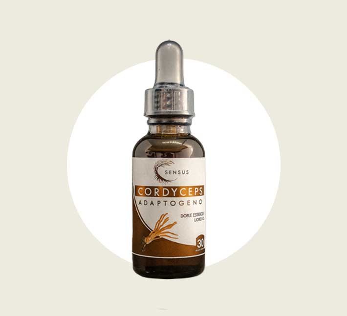 Hongos adaptógenos Cordyceps