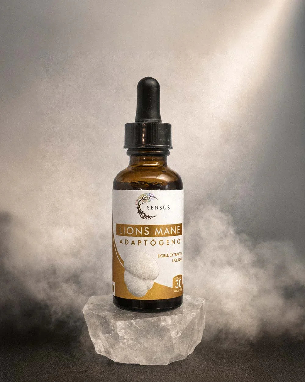 Gotero de Sensus Lions Mane adaptógeno líquido sobre piedra y fondo de neblina, bienestar inteligente.