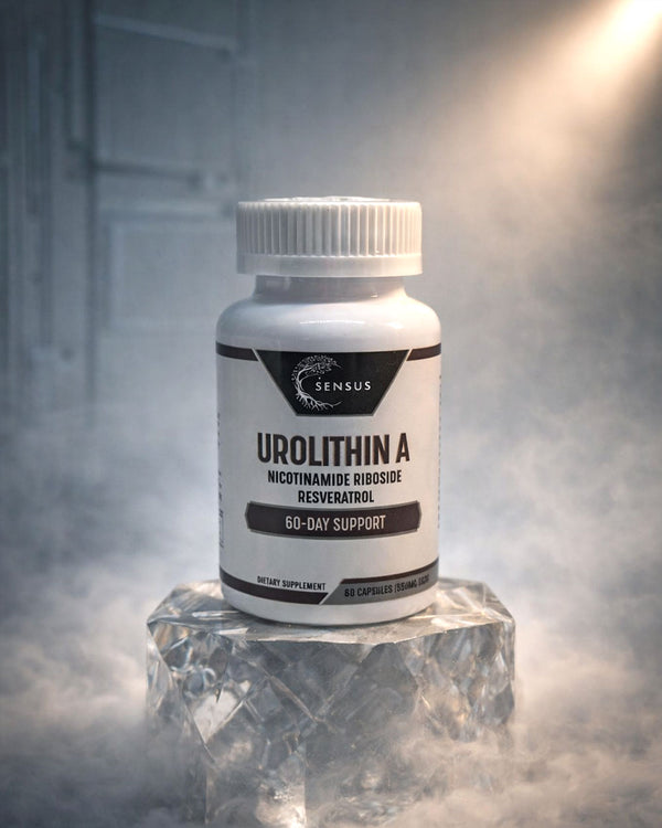 Urolitina A